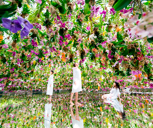 teamLab Planets Tokyo Ticket