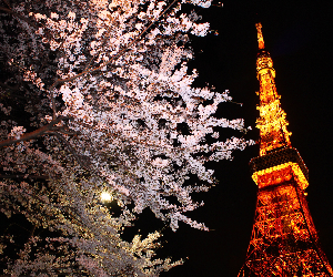 Tokyo Tower Diamond Tour Ticket